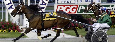 Today's Australian & New Zealand Harness Racing Betting Odds.